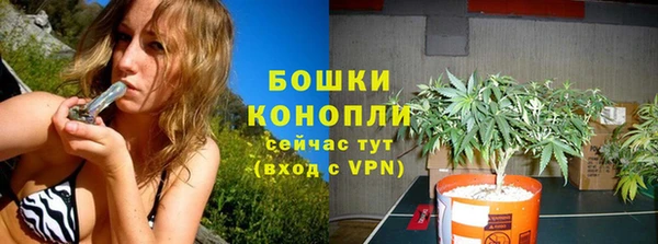 PSILOCYBIN Медногорск