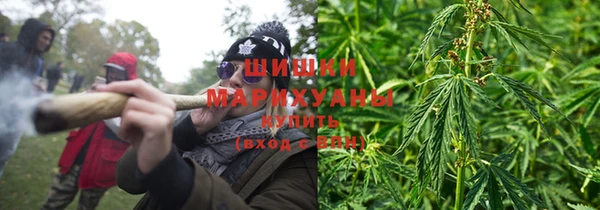PSILOCYBIN Медногорск