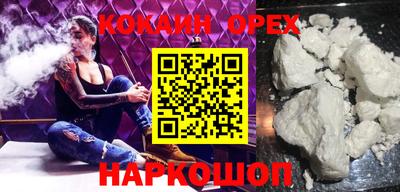прущие грибы Гатчина