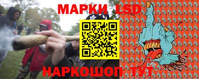 прущие грибы Гатчина