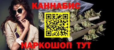 прущие грибы Гатчина