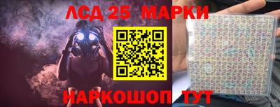 прущие грибы Гатчина