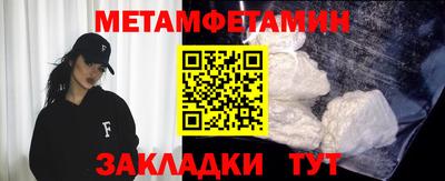прущие грибы Гатчина
