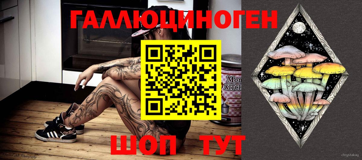 Псилоцибиновые грибы Psilocybe Нижневартовск