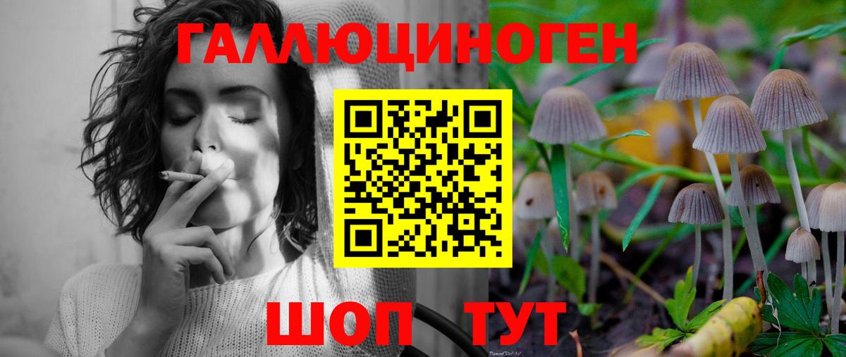 Галлюциногенные грибы MAGIC MUSHROOMS  Вход с VPN  Нижневартовск  Псилоцибиновые грибы прущие грибы 